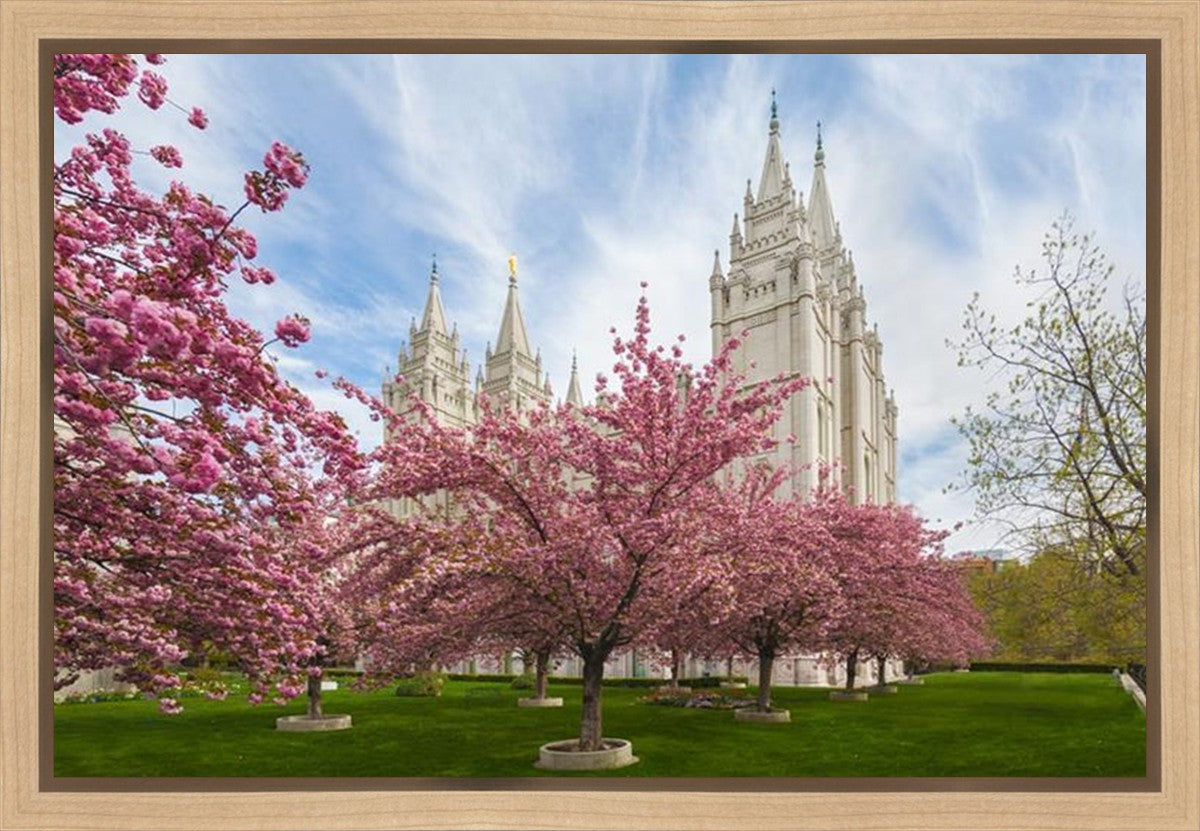 Salt Lake Spring Blossoms Gallery Wrap
