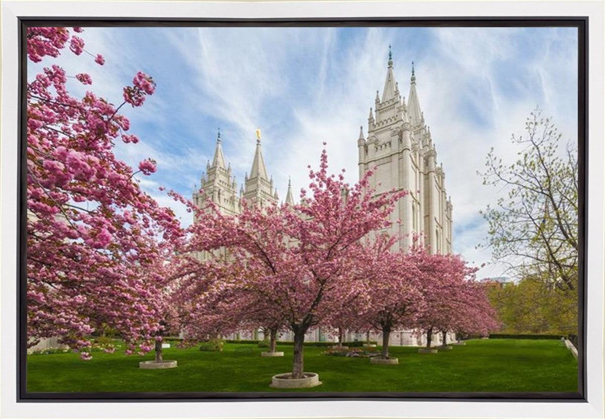 Salt Lake Spring Blossoms Gallery Wrap