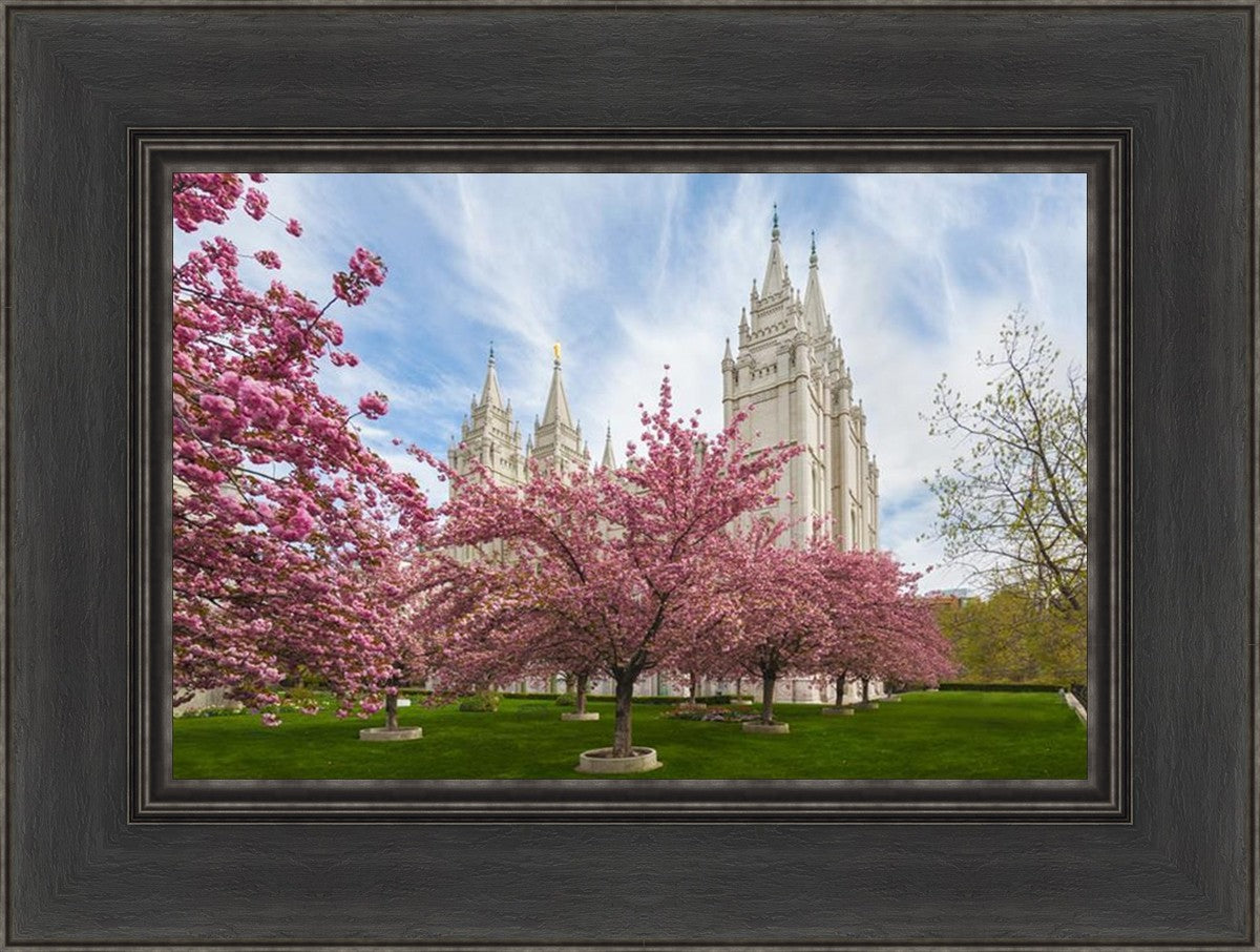 Salt Lake Spring Blossoms