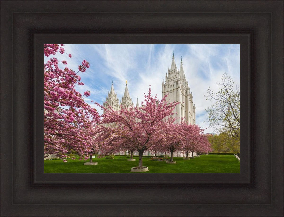 Salt Lake Spring Blossoms