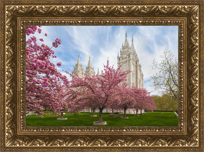 Salt Lake Spring Blossoms