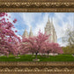 Salt Lake Spring Blossoms