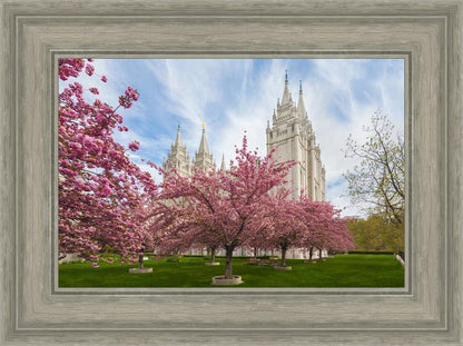 Salt Lake Spring Blossoms