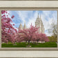 Salt Lake Spring Blossoms