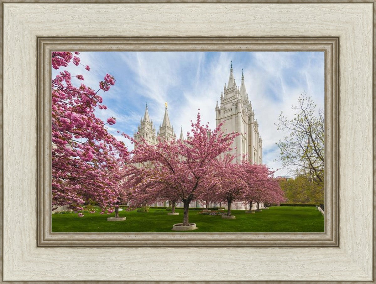 Salt Lake Spring Blossoms
