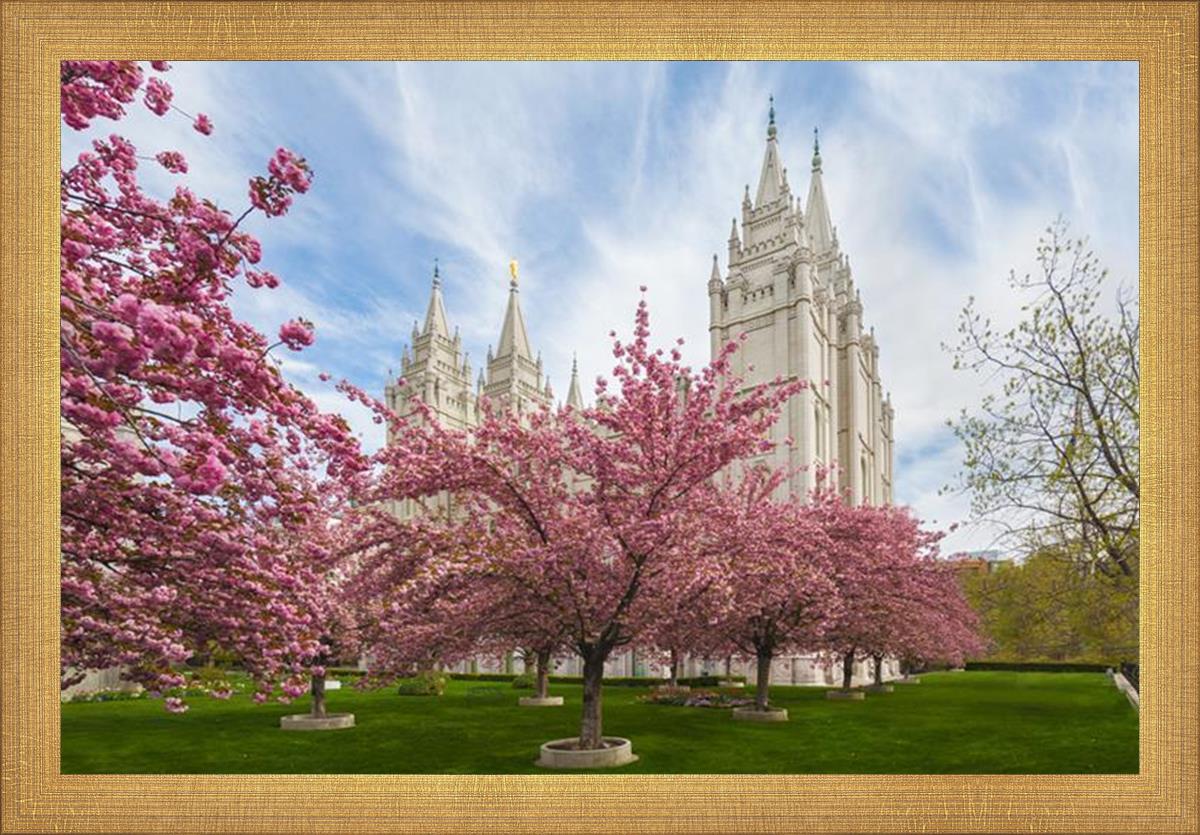 Salt Lake Spring Blossoms