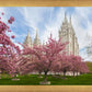 Salt Lake Spring Blossoms