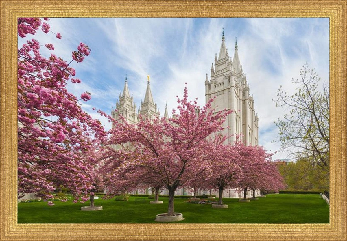 Salt Lake Spring Blossoms