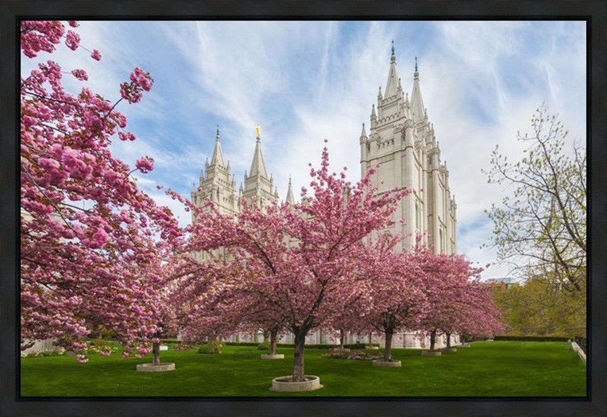 Salt Lake Spring Blossoms Gallery Wrap