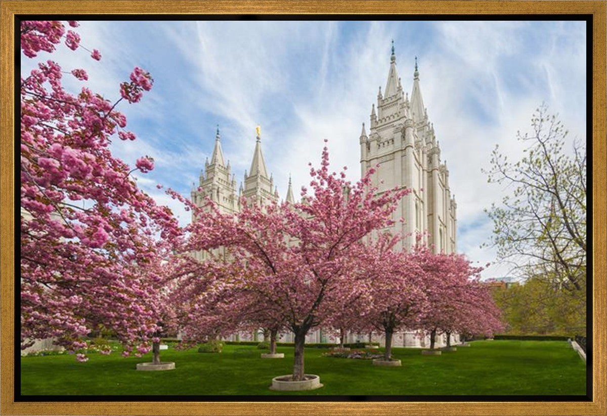 Salt Lake Spring Blossoms Gallery Wrap