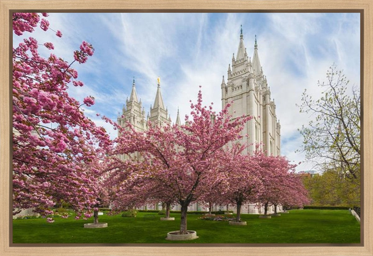 Salt Lake Spring Blossoms Gallery Wrap