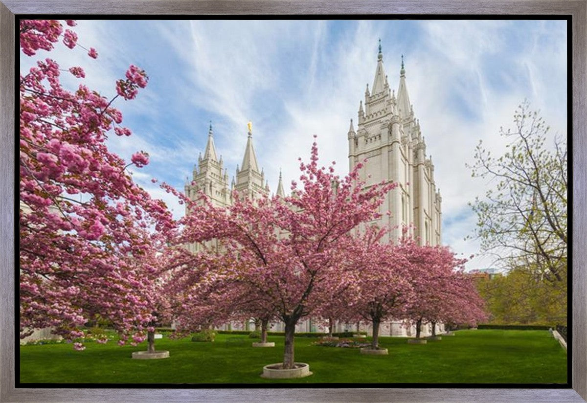 Salt Lake Spring Blossoms Gallery Wrap
