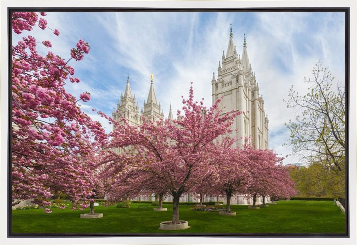 Salt Lake Spring Blossoms Gallery Wrap