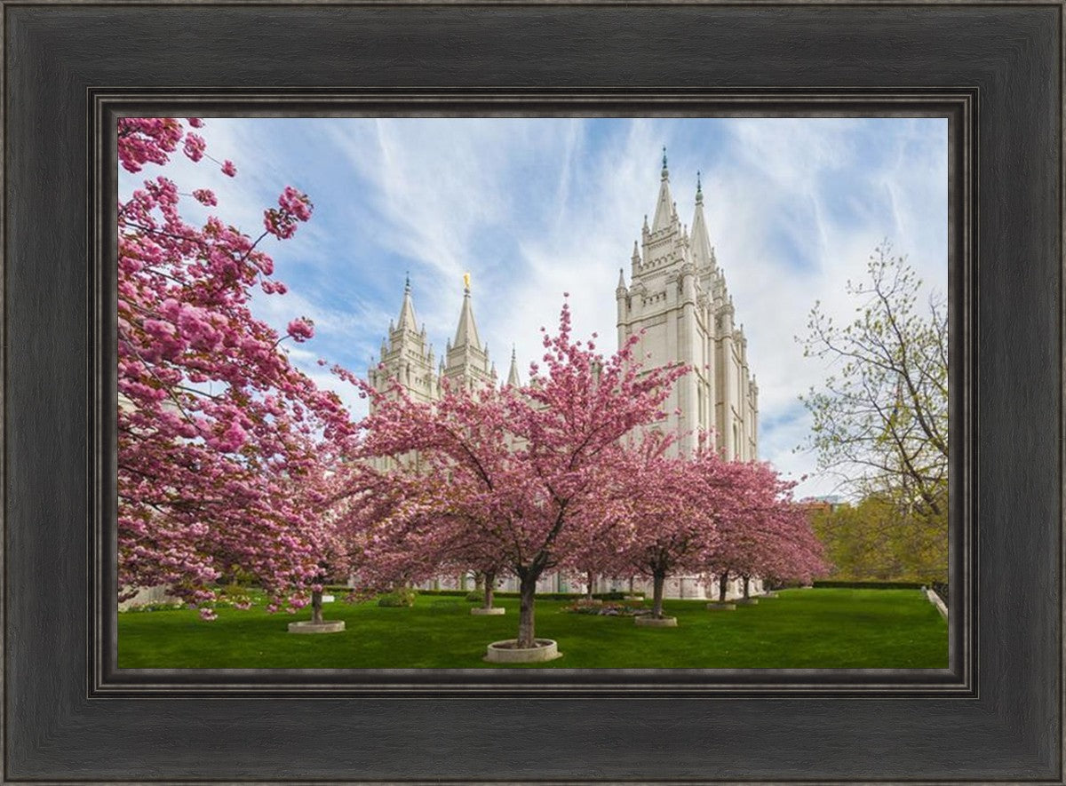 Salt Lake Spring Blossoms
