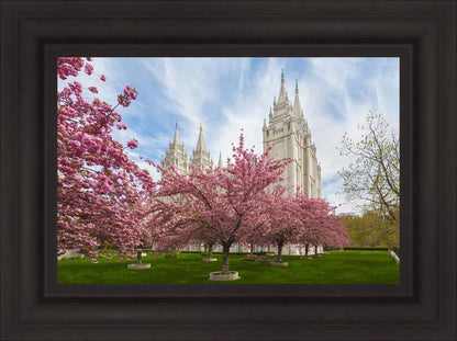 Salt Lake Spring Blossoms