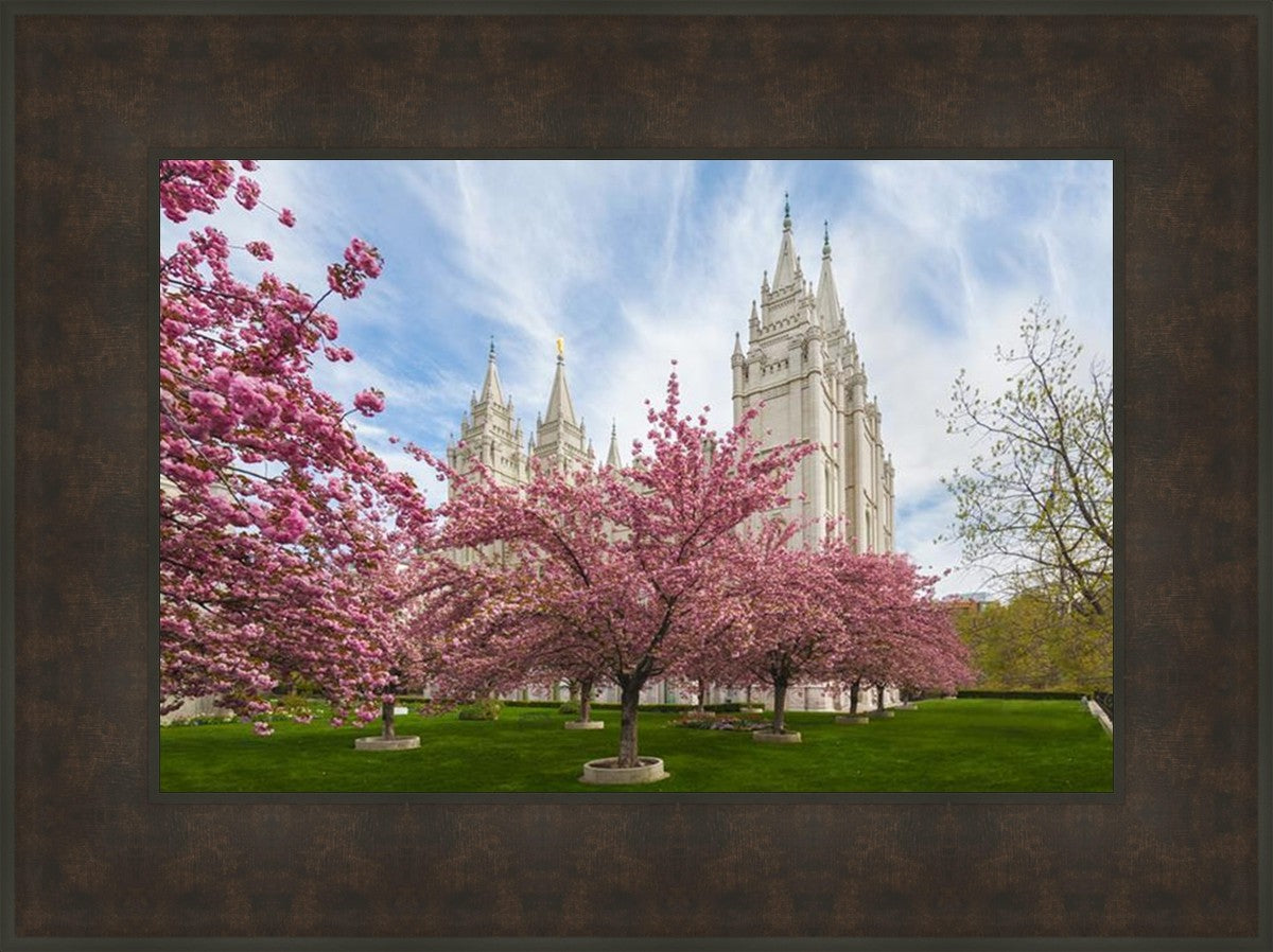 Salt Lake Spring Blossoms