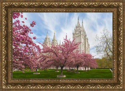 Salt Lake Spring Blossoms