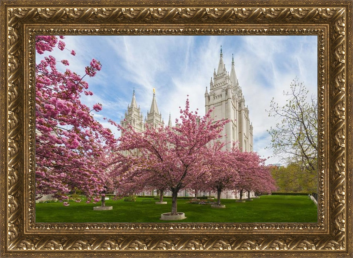 Salt Lake Spring Blossoms