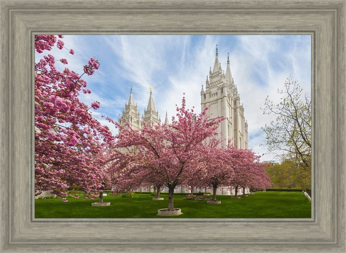 Salt Lake Spring Blossoms