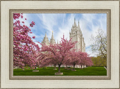 Salt Lake Spring Blossoms