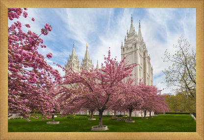 Salt Lake Spring Blossoms