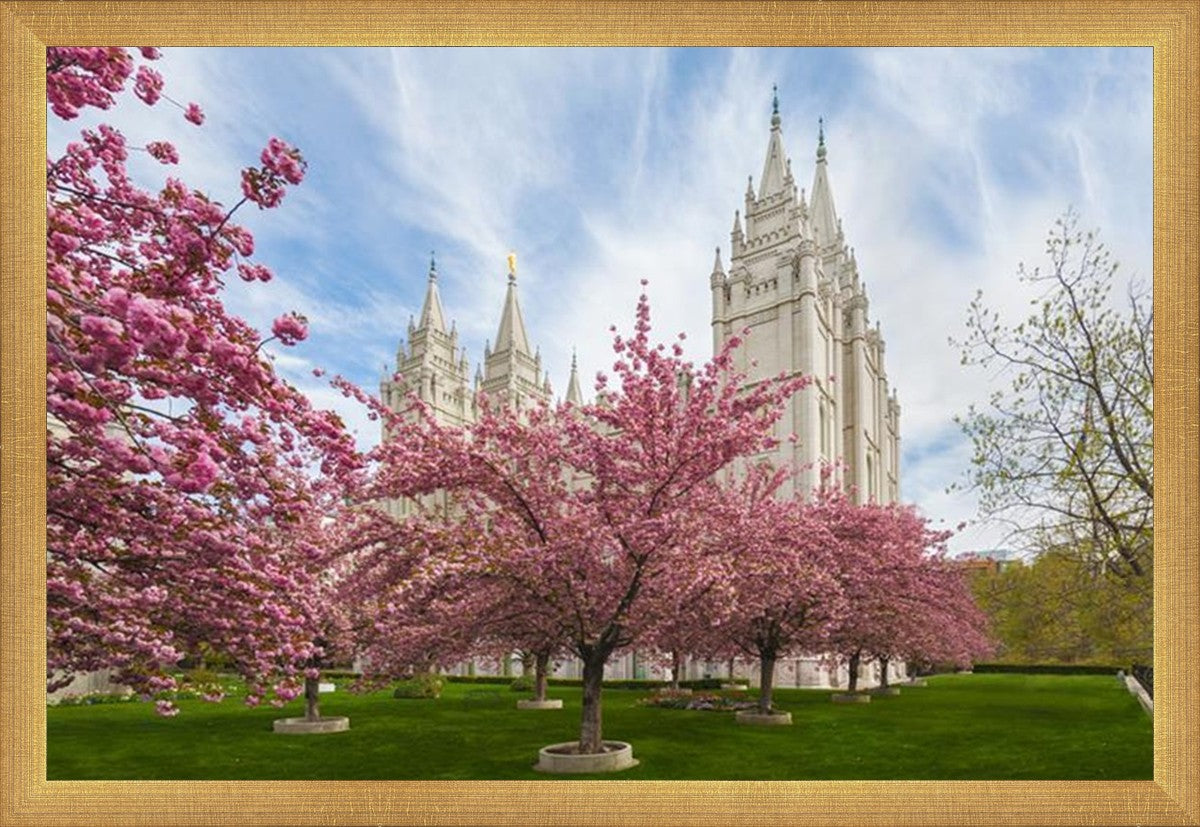 Salt Lake Spring Blossoms