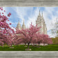 Salt Lake Spring Blossoms