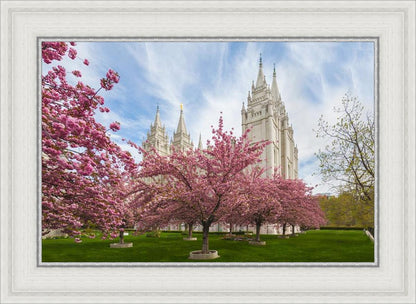 Salt Lake Spring Blossoms