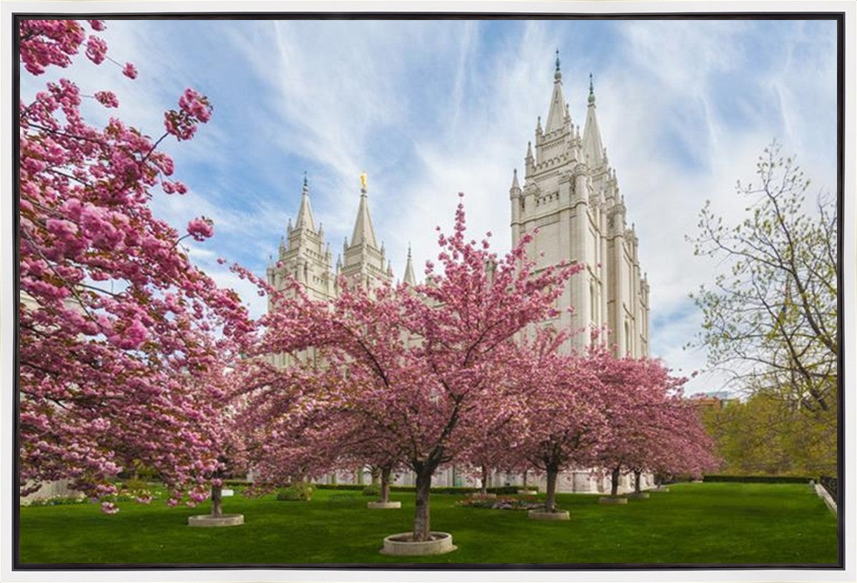 Salt Lake Spring Blossoms Gallery Wrap