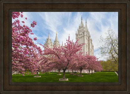 Salt Lake Spring Blossoms