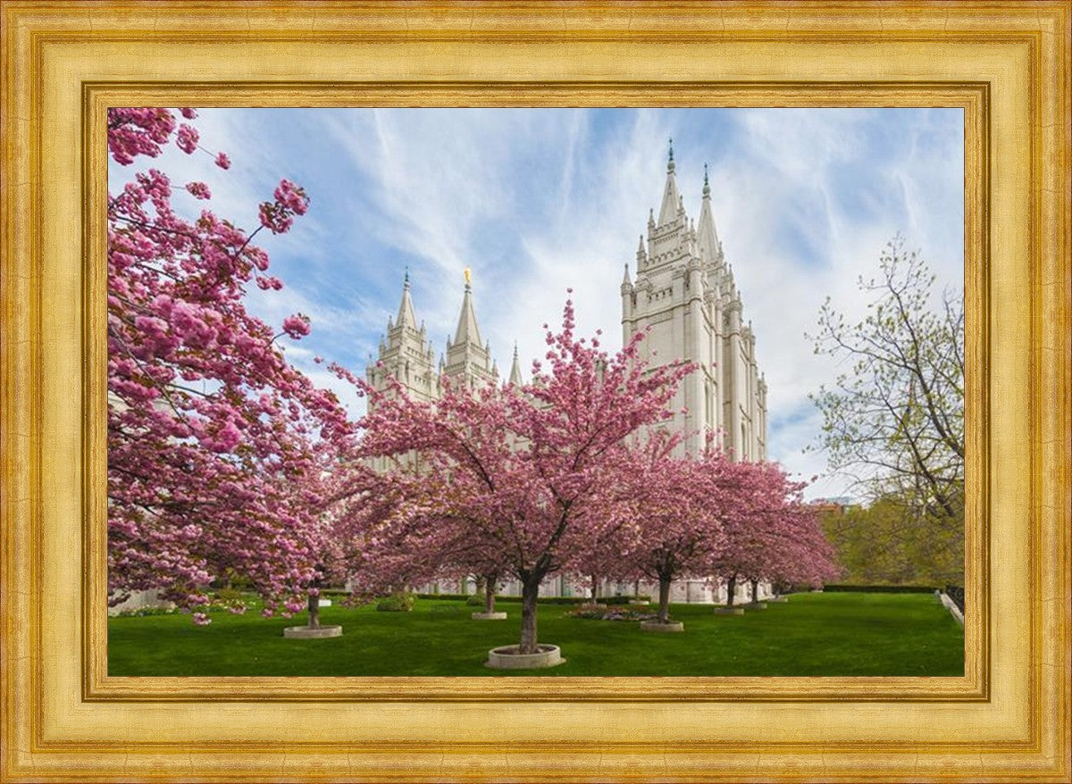 Salt Lake Spring Blossoms