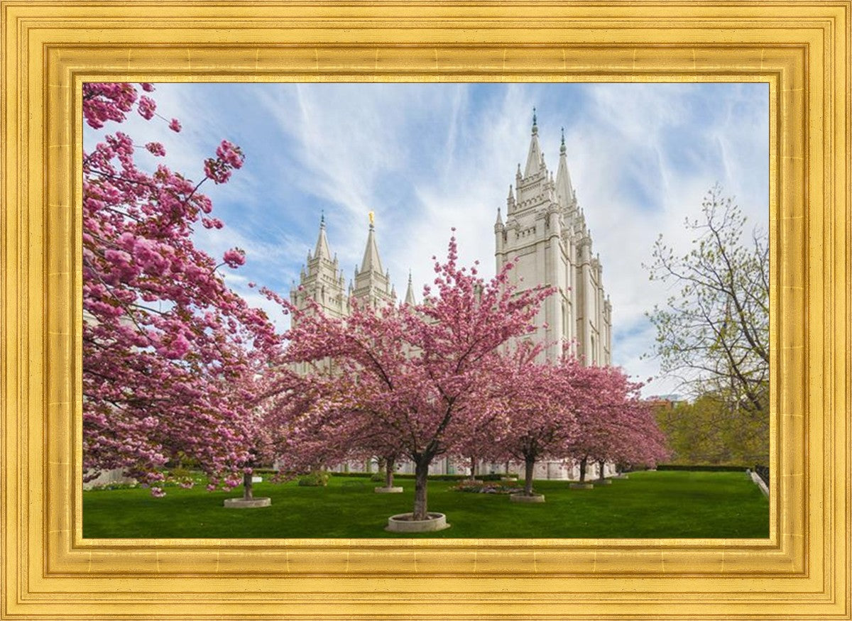 Salt Lake Spring Blossoms