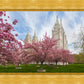 Salt Lake Spring Blossoms