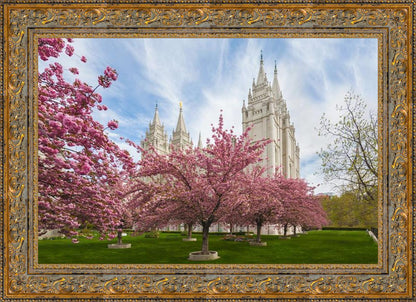 Salt Lake Spring Blossoms
