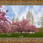Salt Lake Spring Blossoms