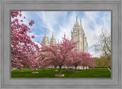 Salt Lake Spring Blossoms