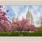Salt Lake Spring Blossoms