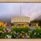 Provo Spring Tulips