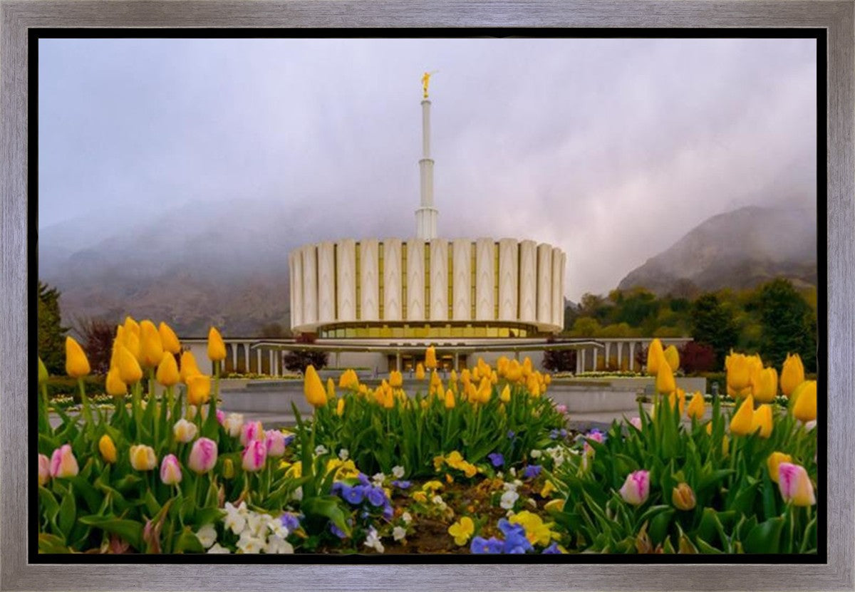 Provo Spring Tulips Gallery Wrap
