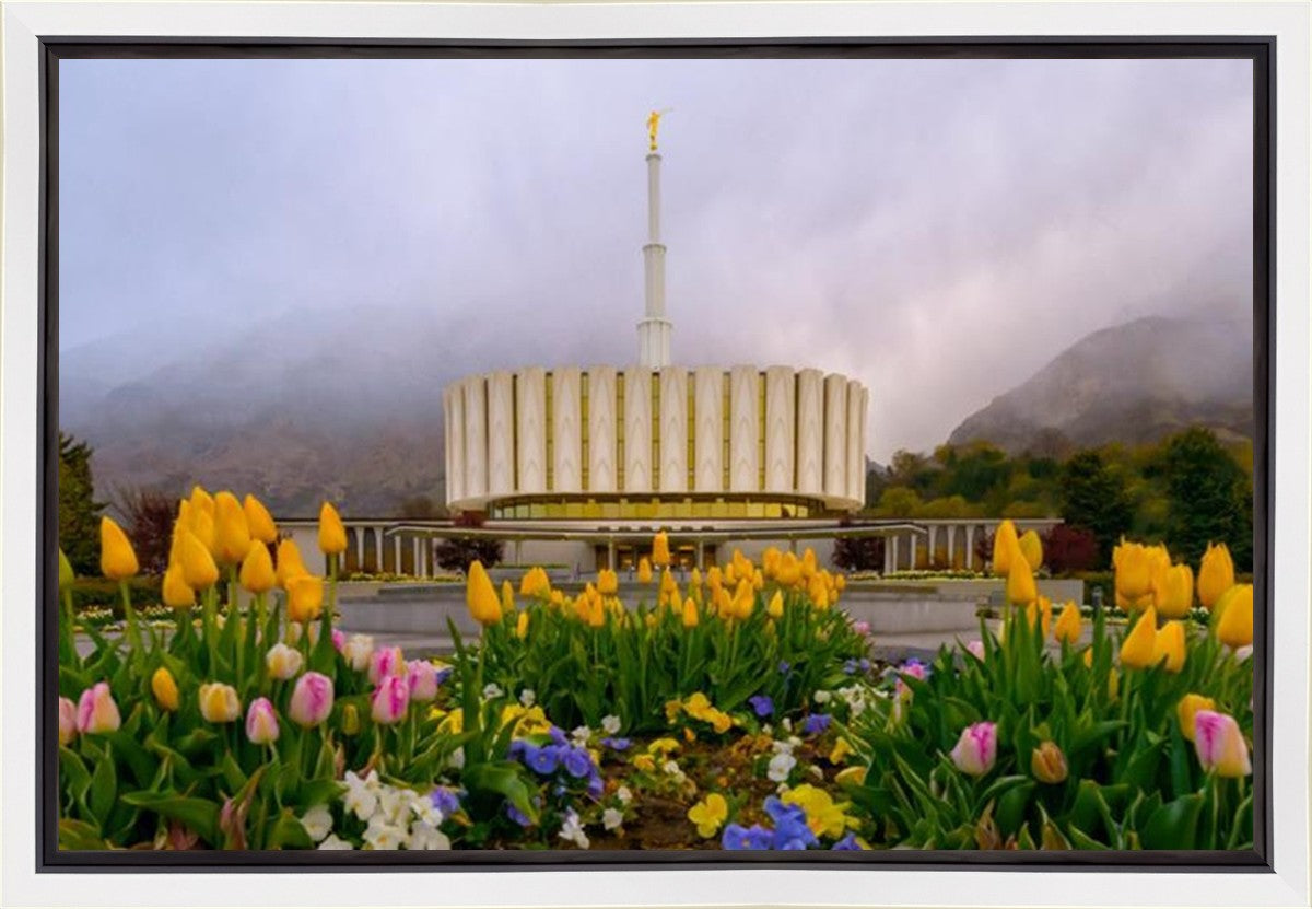 Provo Spring Tulips Gallery Wrap