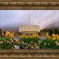 Provo Spring Tulips
