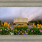 Provo Spring Tulips