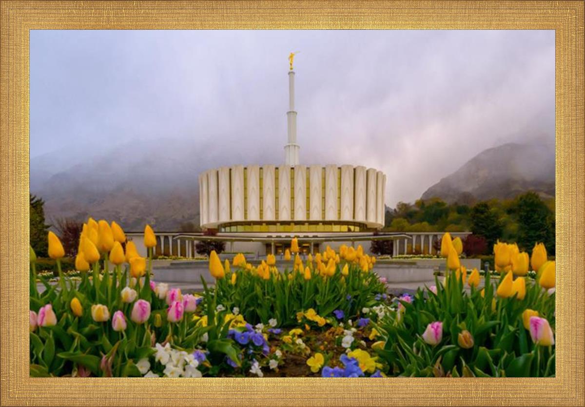 Provo Spring Tulips