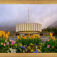 Provo Spring Tulips