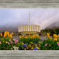 Provo Spring Tulips