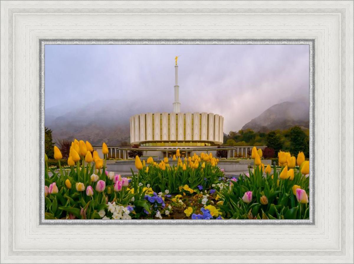 Provo Spring Tulips