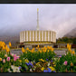 Provo Spring Tulips