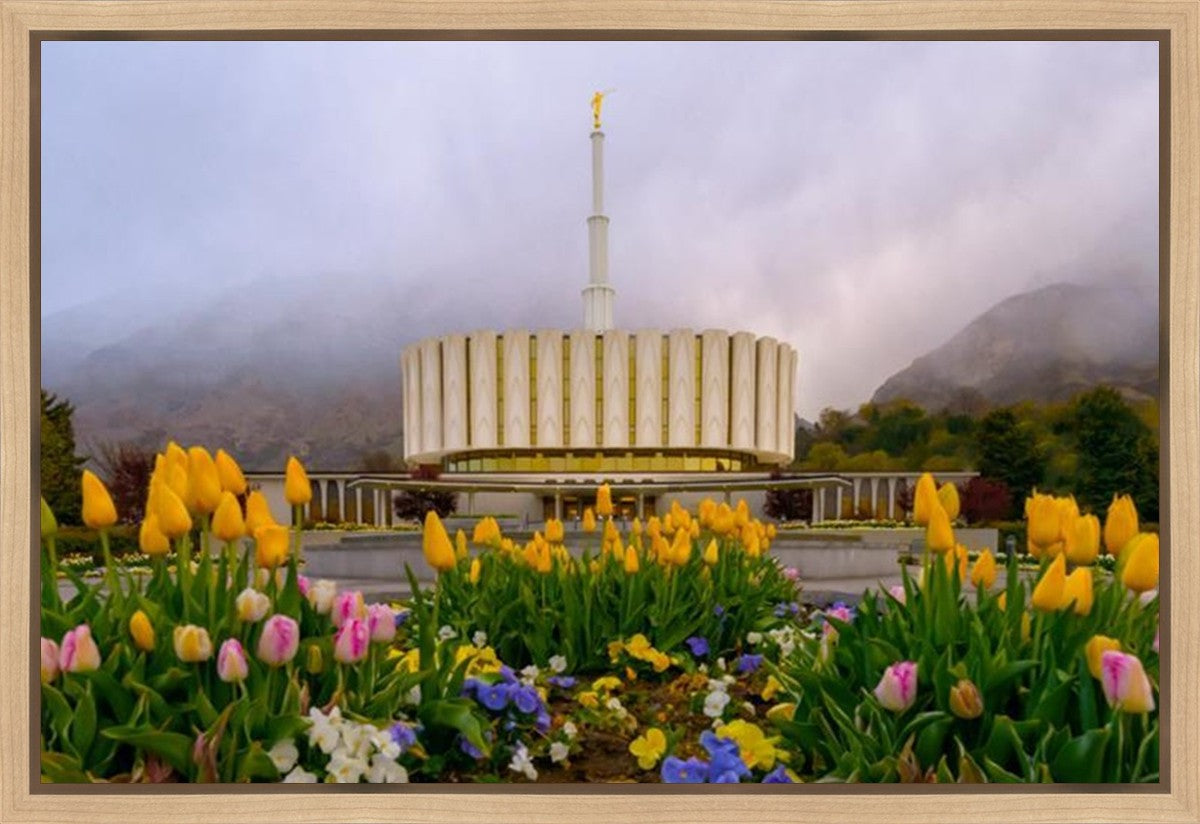 Provo Spring Tulips Gallery Wrap