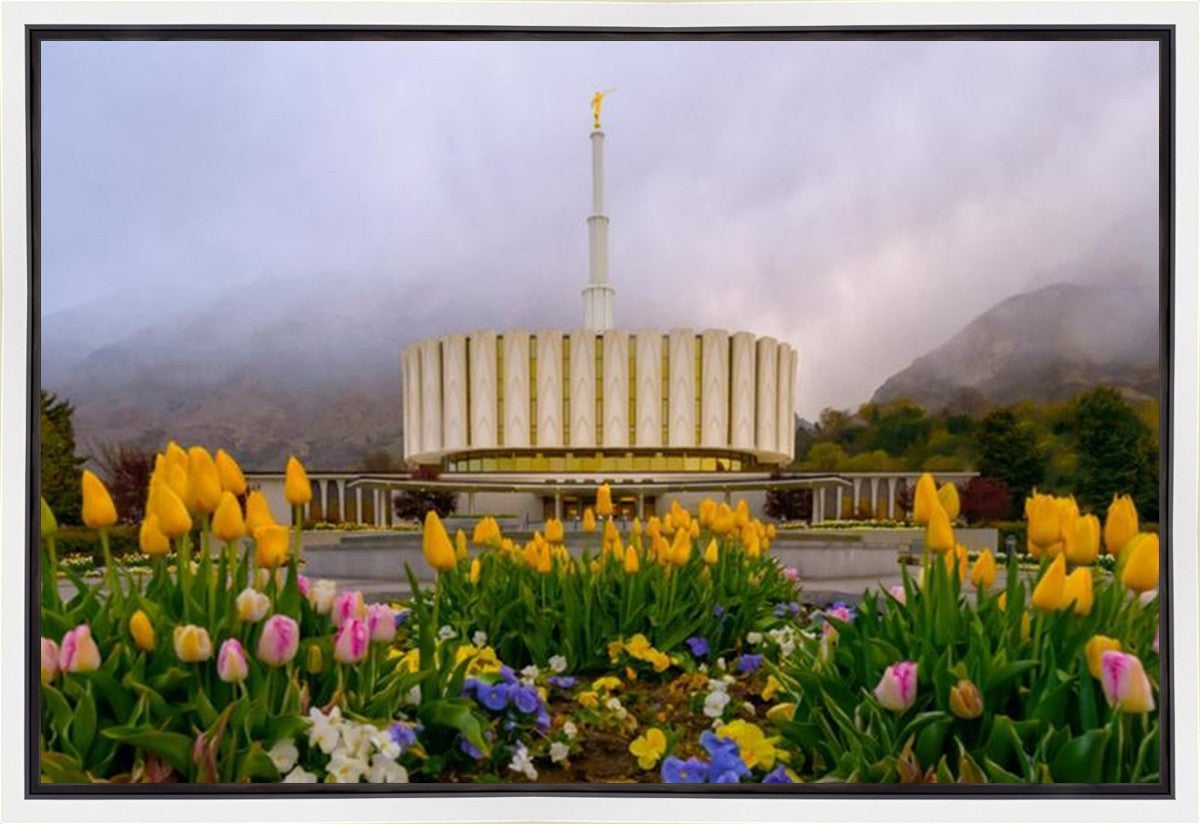 Provo Spring Tulips Gallery Wrap