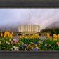 Provo Spring Tulips